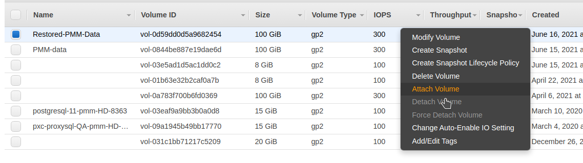 Attach Volume